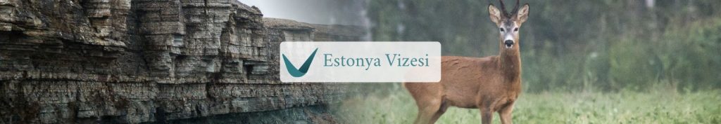 Estonya vizesi 