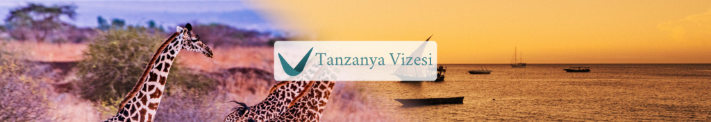 Tanzanya Vizesi