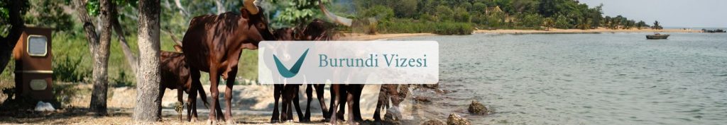 Burundi Vizesi