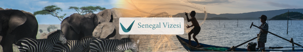 Senegal Vizesi