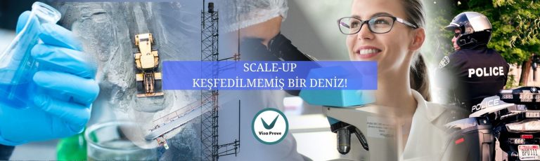 İngiltere Scale-Up
