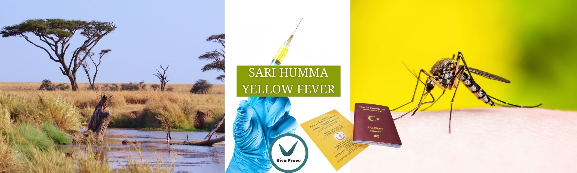 Sarı Humma (Yellow Fever) Aşısı