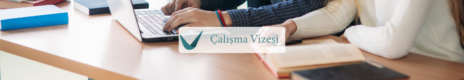 Çalışma Vizesi