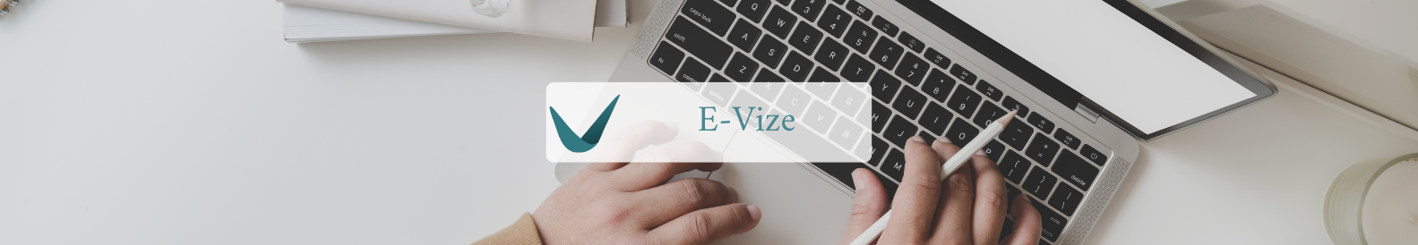 E-Vize