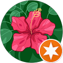 sd lm profile picture