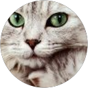 Sema köksal profile picture