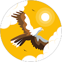 omer faruk profile picture